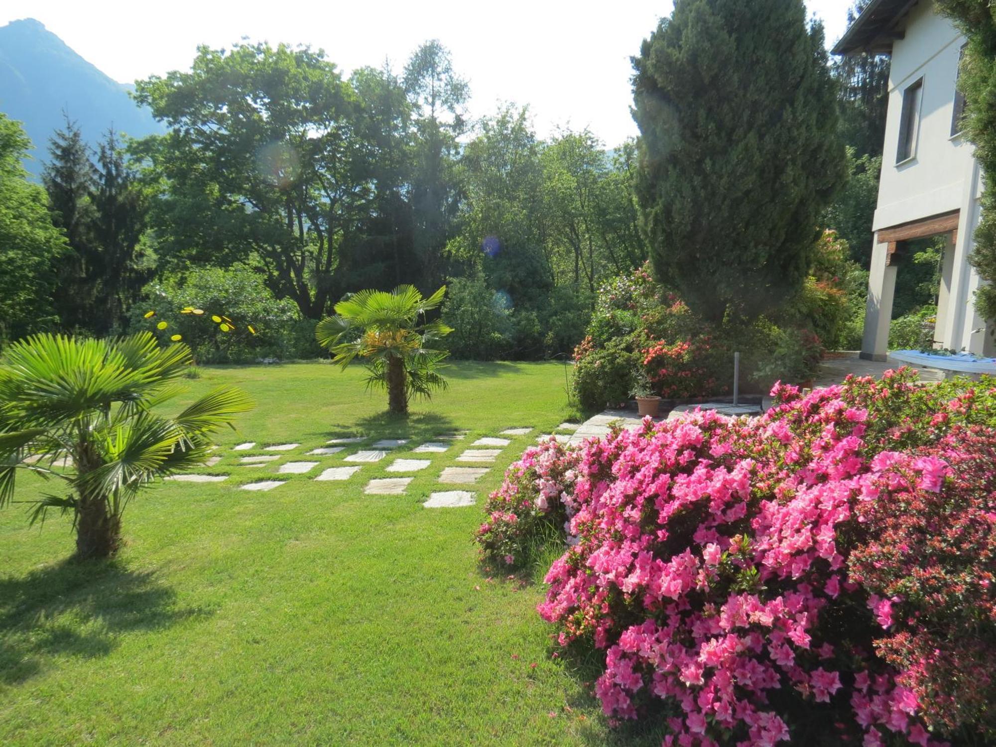 Villa Morissolina Trarego Εξωτερικό φωτογραφία